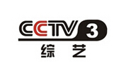 2015年CCTV-3综艺频道广告方案